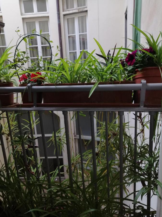 Florence Pitti Loft Ngoại thất bức ảnh