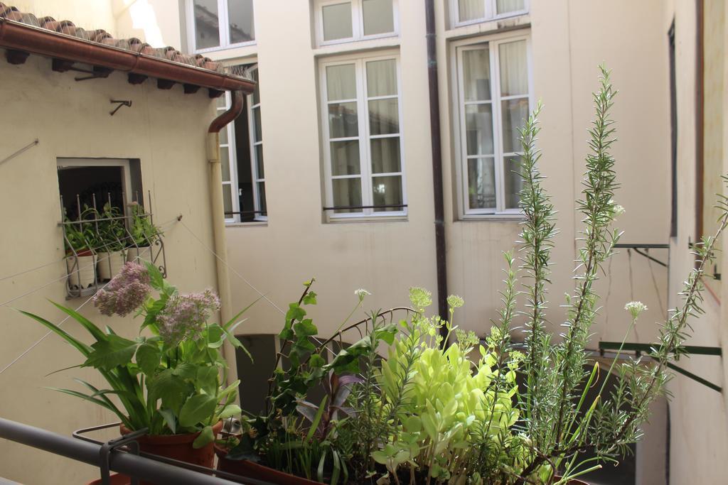 Florence Pitti Loft Phòng bức ảnh